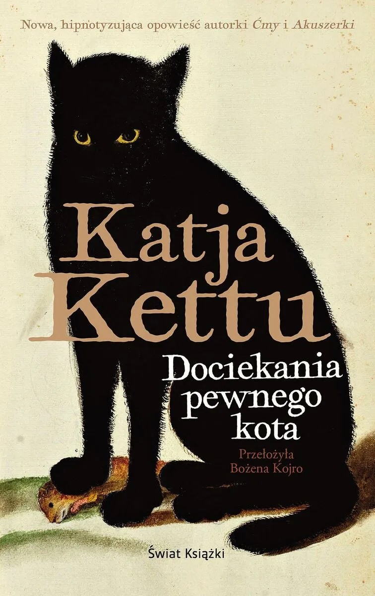 The Investigations of a Certain Cat